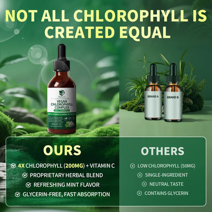 Liquid Chlorophyll Drops 30 ml – Vegan, Sugar-Free